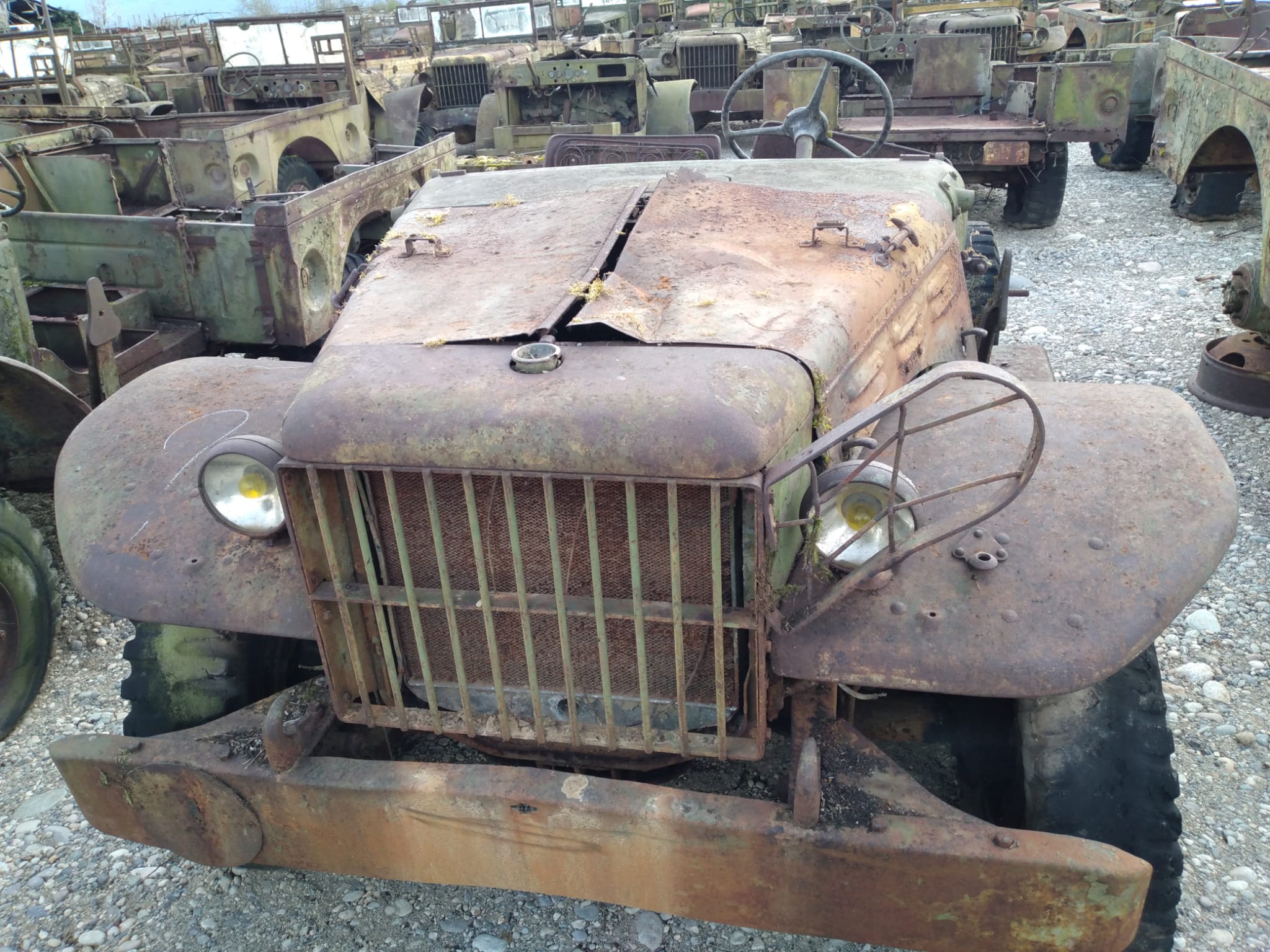 DODGE WC 51